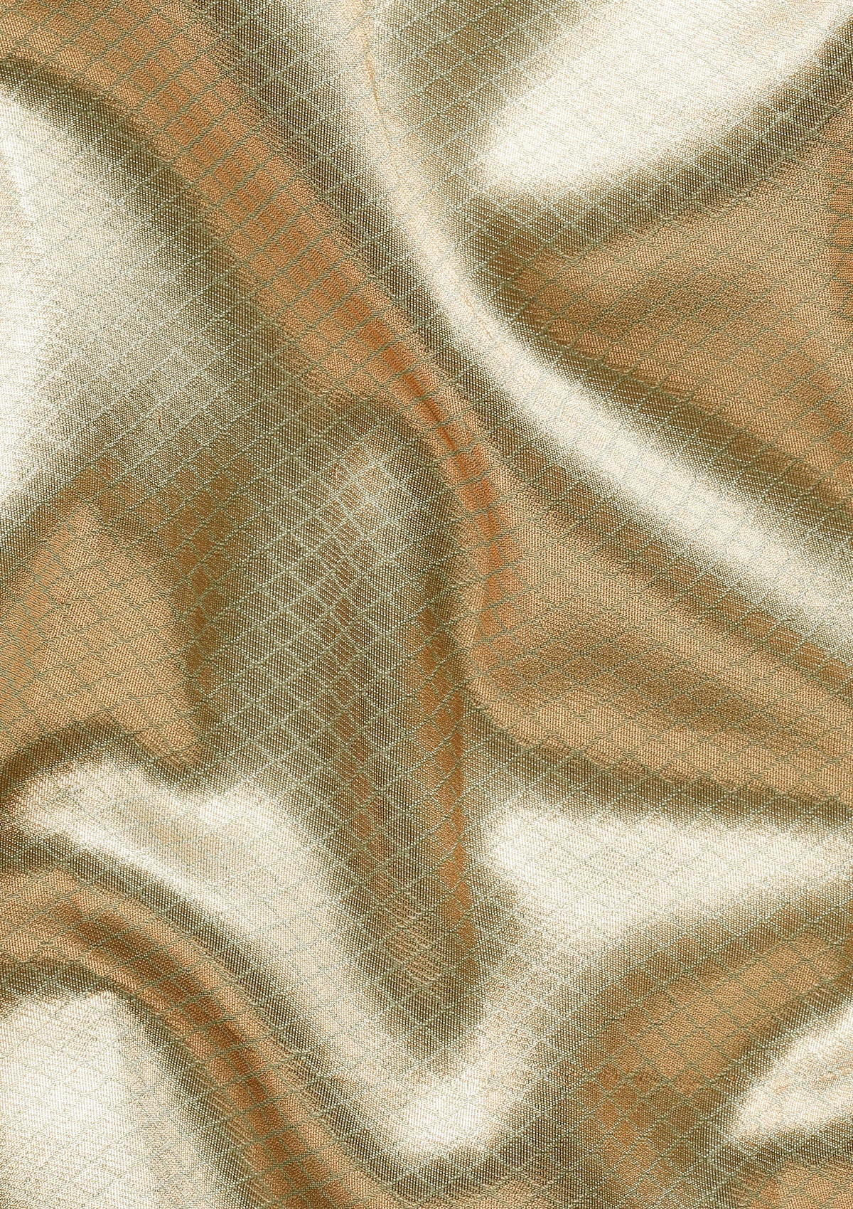 Sea Green Tissue Brocade Weaving Silk Saree