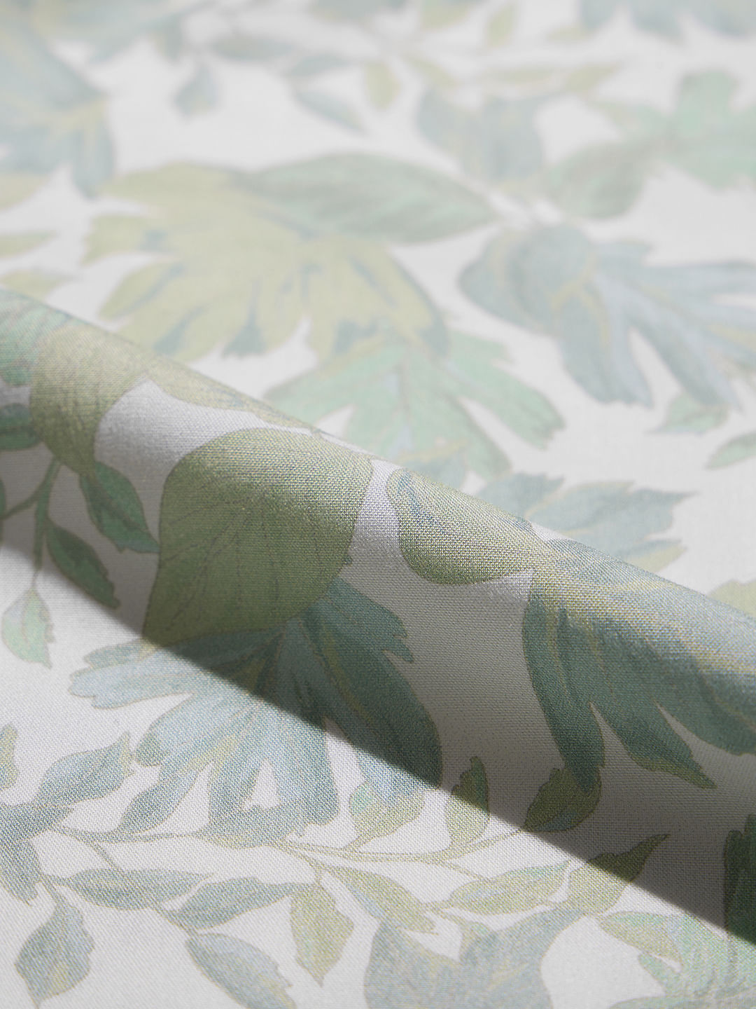 TSS Originals: Botany