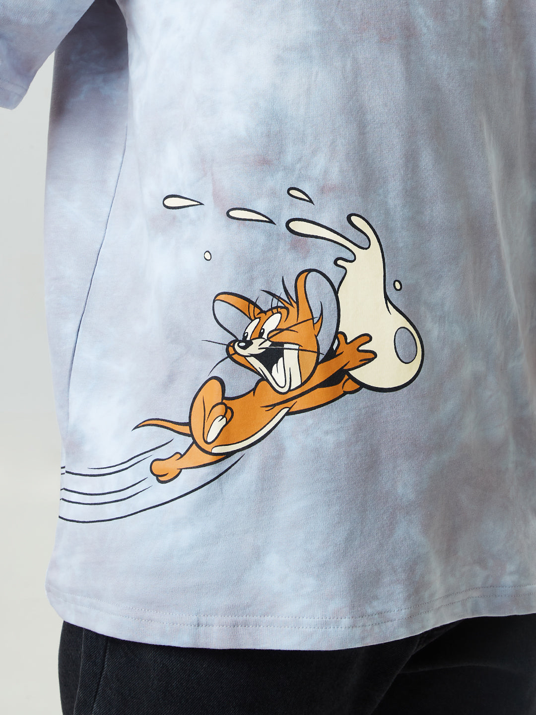 Tom & Jerry: The Chase