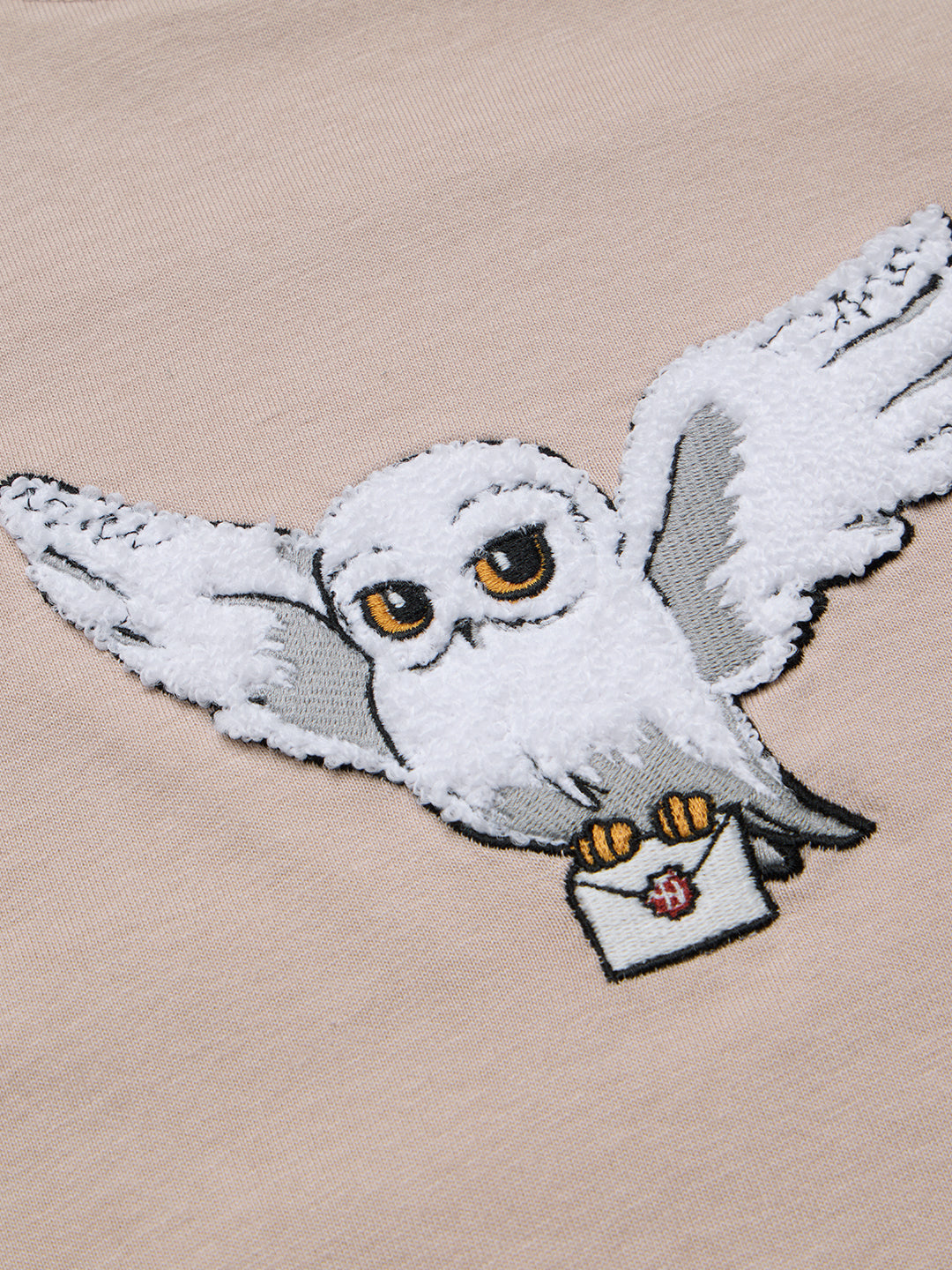 Harry Potter: Hedwig