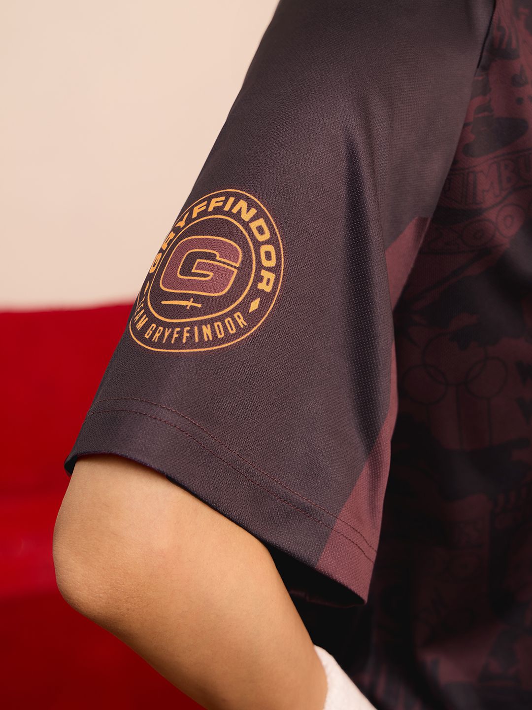 Harry Potter: Gryffindor