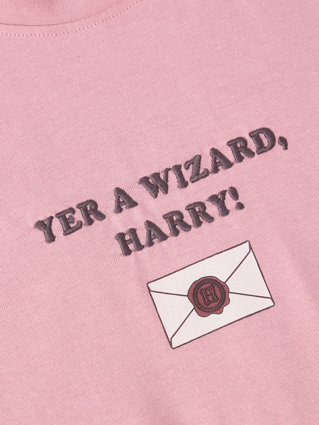 Harry Potter: Yer A Wizard