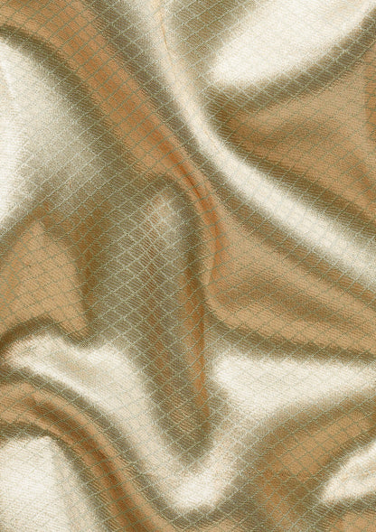 Sea Green Tissue Brocade Weaving Silk Saree