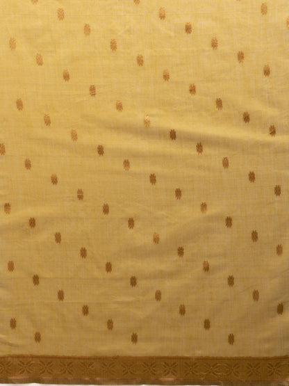 Divine Drapes Simple Mustard Saree