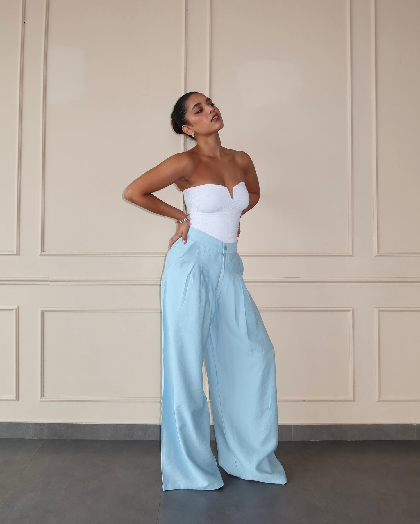 Defined Pleats Wide Leg Pants - Baby Blue