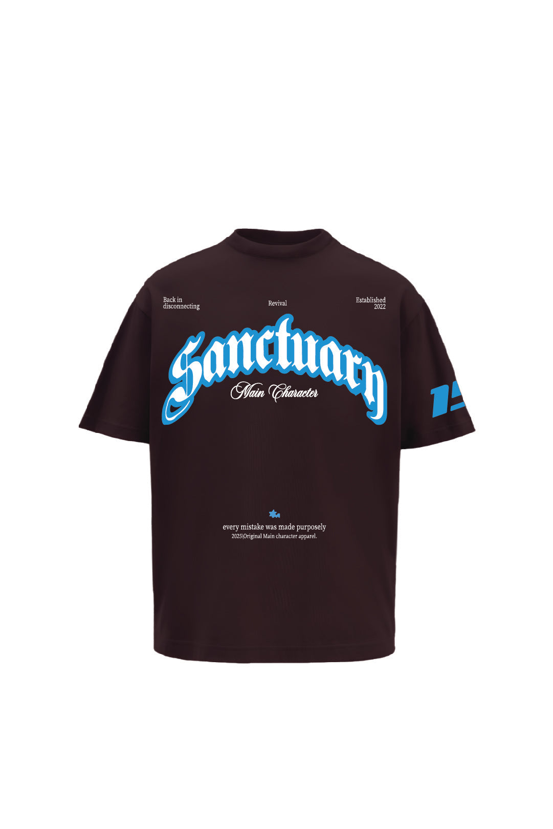 Sanctuary Brown Oversized t-shirt