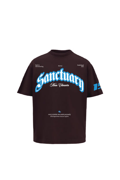 Sanctuary Brown Oversized t-shirt