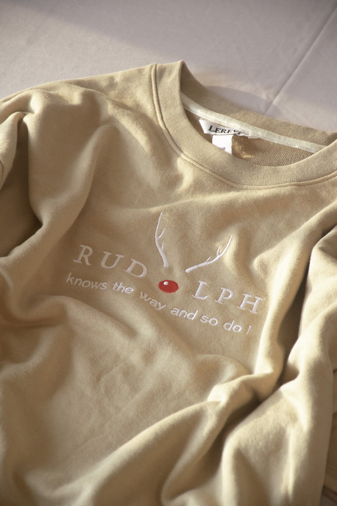 Oversized Tee In Light Brown